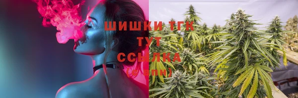 шишки Богородицк