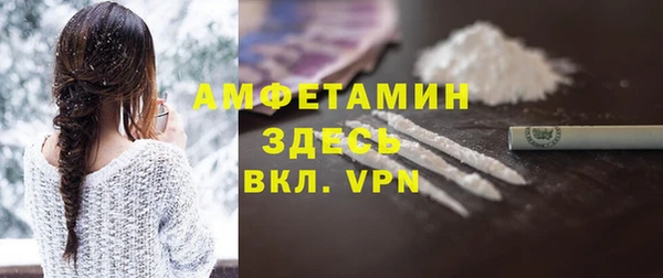 шишки Богородицк