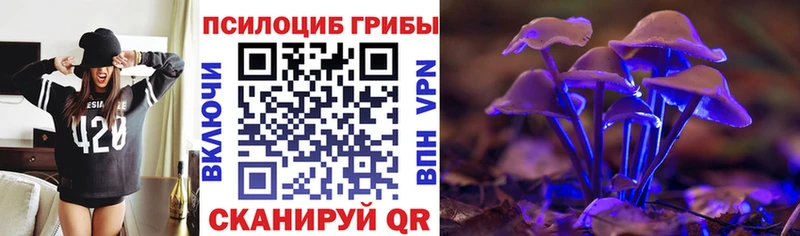мега зеркало  Бор  Галлюциногенные грибы Psilocybine cubensis  наркота 